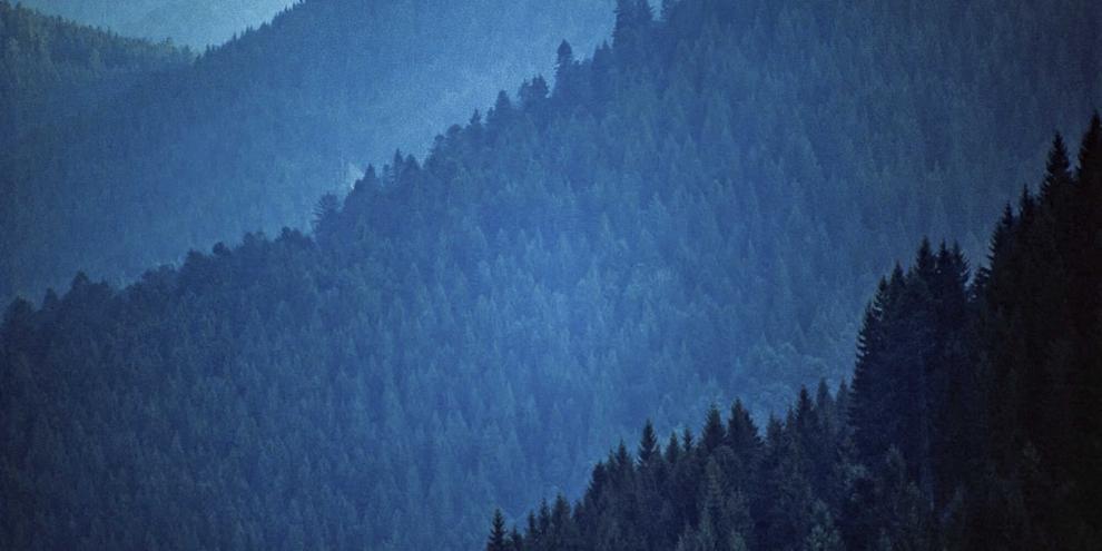 Wie finster und unwegsam war der Schwarzwald?