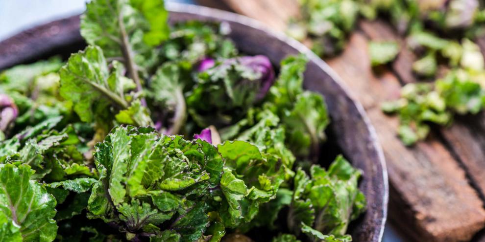 Frisch geerntete Flower Sprouts – das trendige Gemüse, das mit seinem milden Geschmack begeistert.