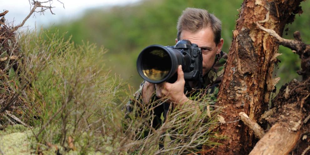 Erstmals wurden die European Wildlife Film Awards verliehen. Gewonnen haben Filmemacher aus Finnland, Irland und Deutschland.