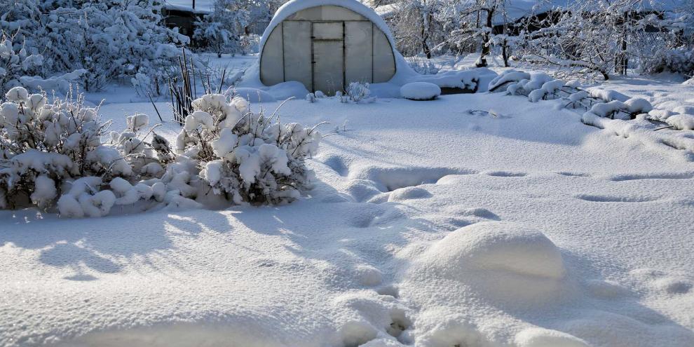 Während eine weiße Decke Pflanzen vor Frost bewahren kann, drohen empfindliche Gehölze unter der Last zu brechen