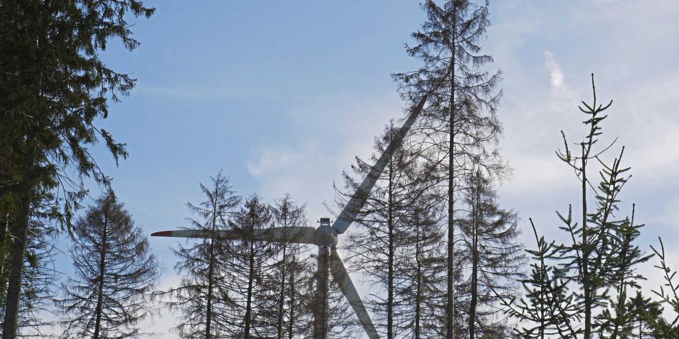 Kaum ein Thema wird so emotional diskutiert wie Windkraftanlagen im Wald.