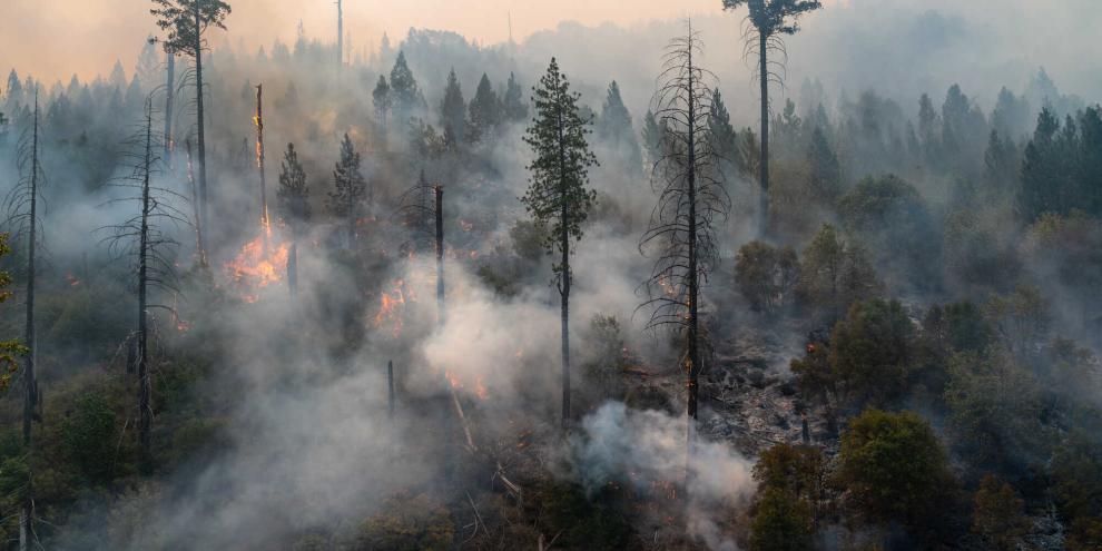 Eine kleine Unachtsamkeit reicht, um einen großen Wald- oder Flächenbran auszulösen.