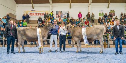 Siegerrind bei Brown Swiss wurde die Sascha-Tochter Lady (l.), Reservesiegerin die Biniam-Tochter Luisana (r.), beide im Besitz von Erika Messner Egger aus Rasen-Antholz. Beim Vorführwettbewerb wurde Andreas Egger, links im Bild, Gesamtzweiter mit Biniam Luisana, die auf diesem Bild von Linda Kammerer gehalten wird. Vor dem Finalbild wechselten die beiden Jungzüchter ihre Rinder.