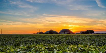 Sonnenuntergang hinter einer Biogasanlage: Vielen Betreibern reicht die politische Sicherheit derzeit für einen Weiterbetrieb ihrer Anlage noch nicht aus.