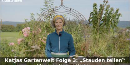 Katja Holler im Garten beim Stauden teilen