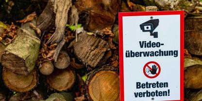 Försterinnen und Förster in Schleswig-Holstein versuchen nun verstärkt, gegen Holzdiebe vorzugehen. Das aber ist nicht ganz einfach im Wald. (Symbolbild)