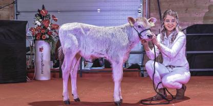 Der Swissgenetics Topsale findet am Donnerstag, 28. November statt. Hier ein Highseller von 2023: 12 700 CHF kostete die 3 Wochen alte Huge-Tochter aus Edingburgh Lina EX96.