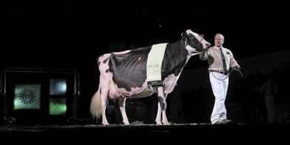 Die bisherige Reservesiegerin „Oakfield Solomon Footloose“ rückte nach und wurde zum Grand Champion der World Dairy Expo in Madison gekürt.