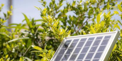 Während Pflanzen Sonnenlicht nutzen, um CO2 in Energie umzuwandeln, ahmt das Solar-Blatt diesen Vorgang mit einer Perowskit-Solarzelle nach. (Symbolbild)