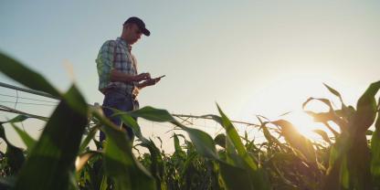 Die landwirtschaftlichen Einkommen in den USA sollen laut USDA-Prognose 2024 um 4 Prozent sinken, vor allem wegen geringerer Einnahmen aus ackerbaulichen Produkten.