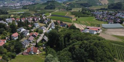 Pflanzenschutzmittel bleiben nicht dort, wo sie ausgebracht werden. Hier ein Untersuchungsstandort am südlichen Oberrhein mit Obst und Weinbau. Im Hintergrund der Schwarzwald.