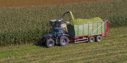 Die Maisernte fiel regional unterschiedlich aus – in den meisten Fällen wurden die Anhänger aber nicht so voll wie im letzten Jahr. Die Maisernte fiel regional unterschiedlich aus – in den meisten Fällen wurden die Anhänger aber nicht so voll wie im letzten Jahr.